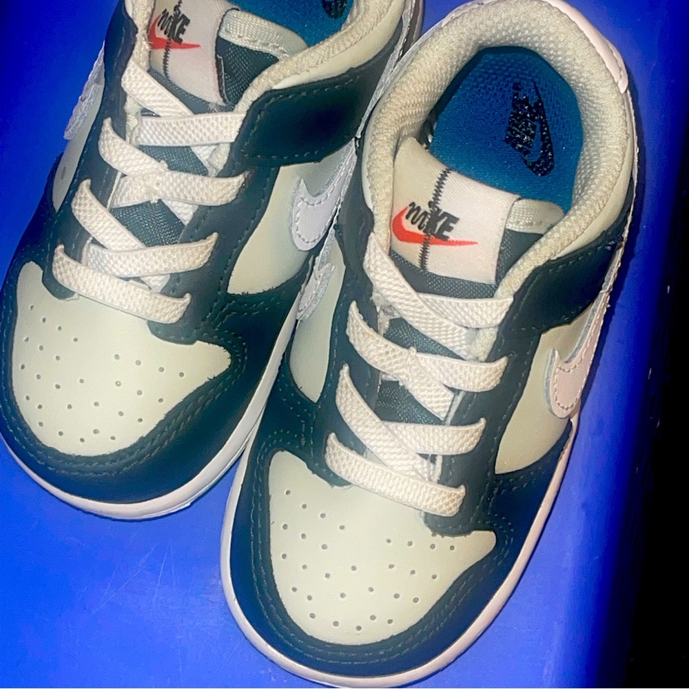 Toddler boy Nike dunk, low top(WORN ONCE)